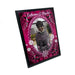 9" x 12" Gloss  Finish Plaque with Aluminum Photo Panel - 4everKeepsakes 
